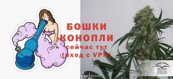 ECSTASY Белокуриха