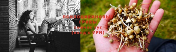 герыч Беломорск