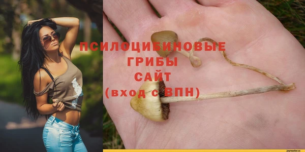 PSILOCYBIN Белоозёрский