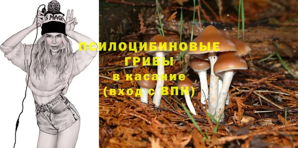 ECSTASY Белокуриха