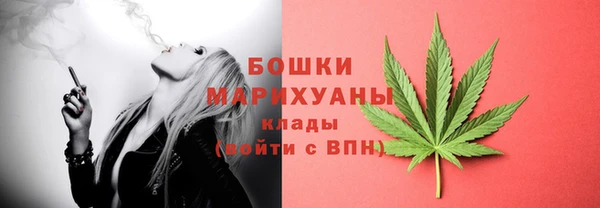 ECSTASY Белокуриха