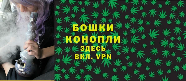 ECSTASY Белокуриха