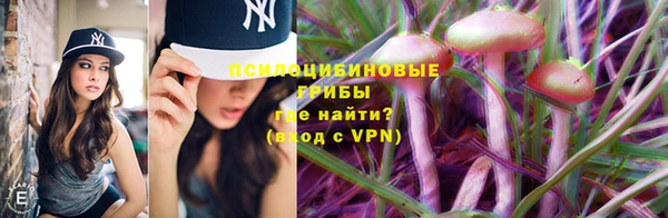 ECSTASY Белокуриха