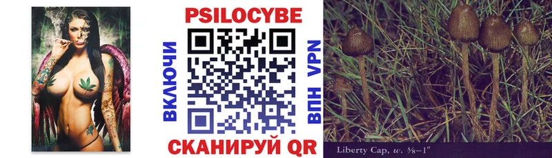 Галлюциногенные грибы Psilocybine cubensis Горняк